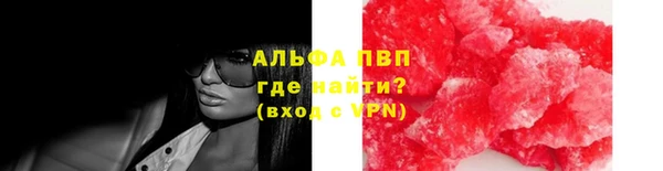 ECSTASY Дмитриев